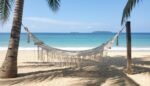 Macrame hammock between palm trees on a beach