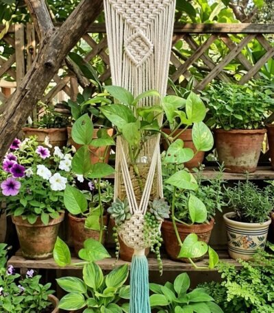 White macrame wall planter with mint green tassel holding a money plant