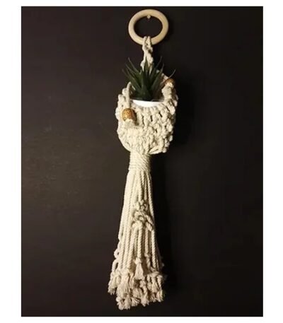 Bird Nest Plant Holder Wall Basket