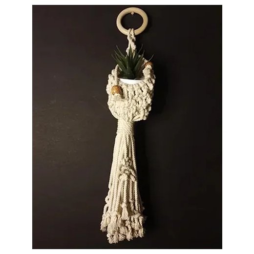 Bird Nest Plant Holder Wall Basket