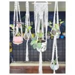 Macrame Plant Hanger -6 Piece (4+2)