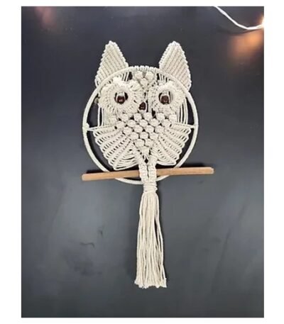 Macrame Owl Hanging