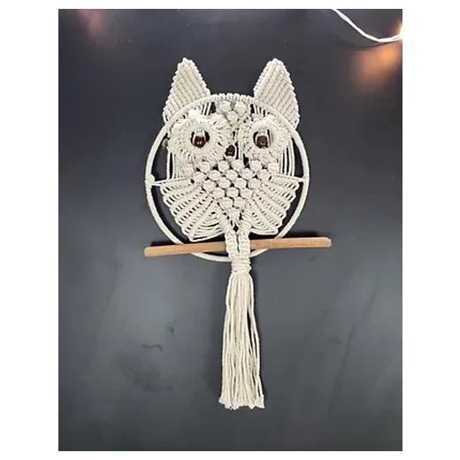 Macrame Owl Hanging